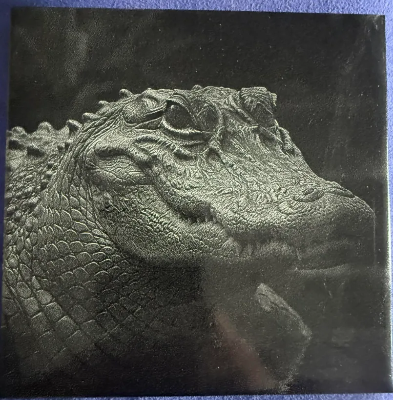 Laser engraving by Kovács György, made with DithX